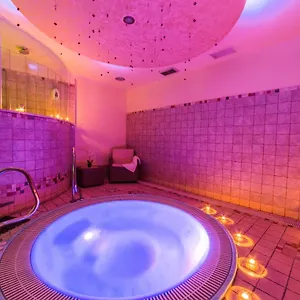 Palma Benessere Hotel Rimini